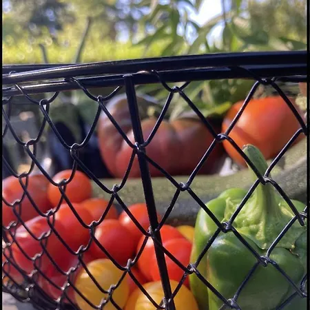 Domaine Cassevinha Semesterbostad