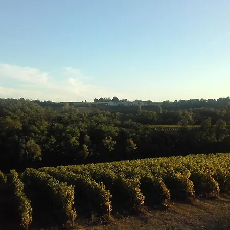 Domaine Cassevinha