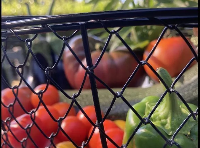 Domaine Cassevinha Prázdninový dům